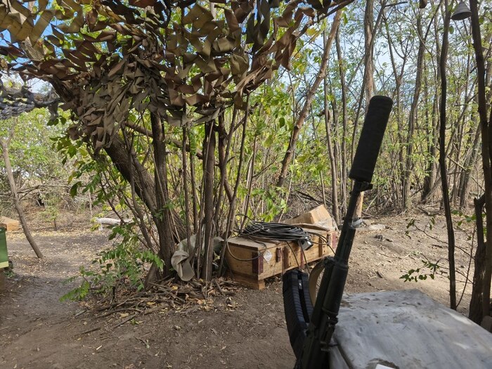 ���� �� �������. ������ ����� �� ���������� �������� �������� ���������, ��� �������� �� 50 ��� ������ �� ������ � �������. ������ �����. 