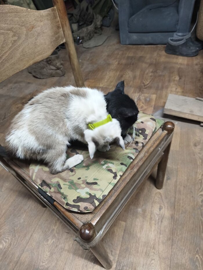 ��������� �� ������