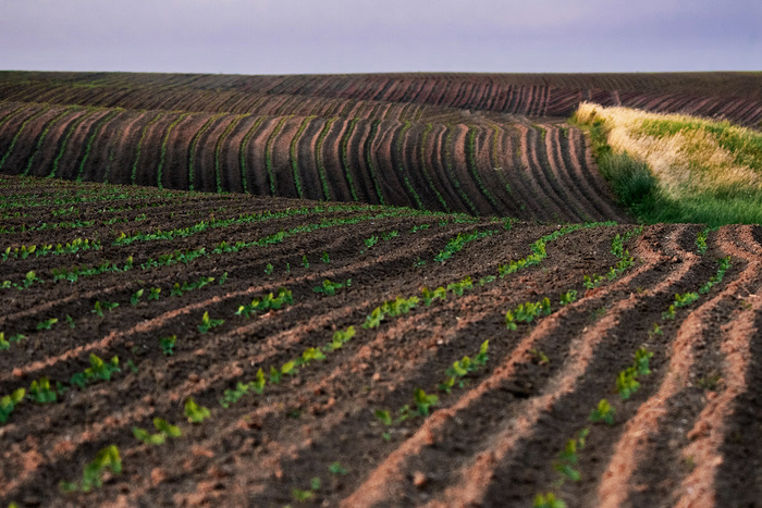 Под низким солнцем