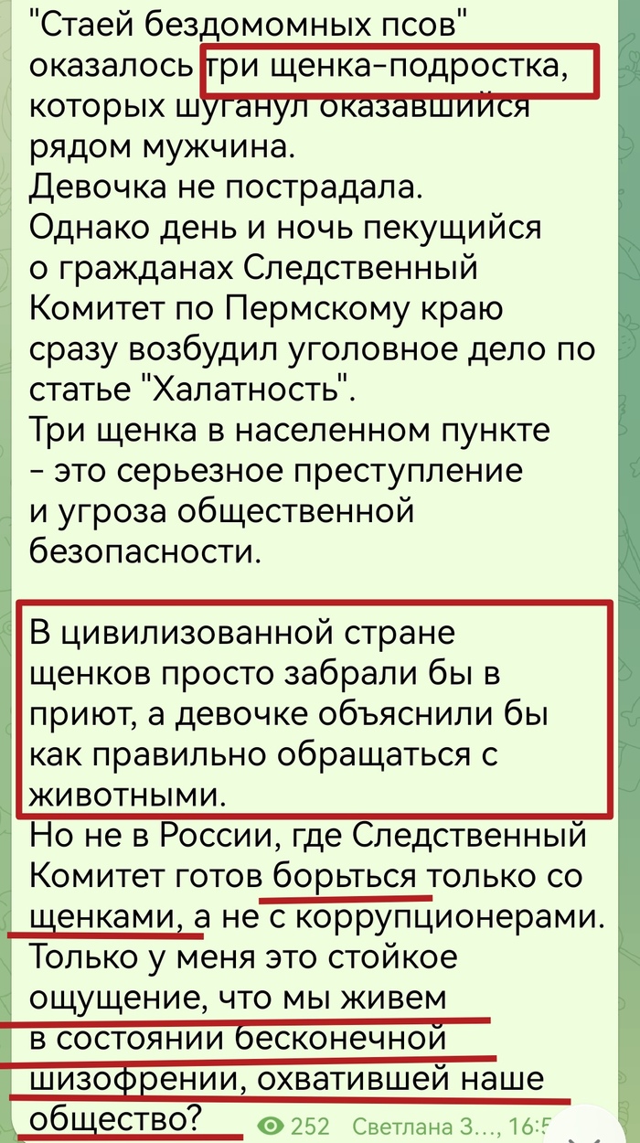 Продолжение поста «Стая собак напала на девочку»