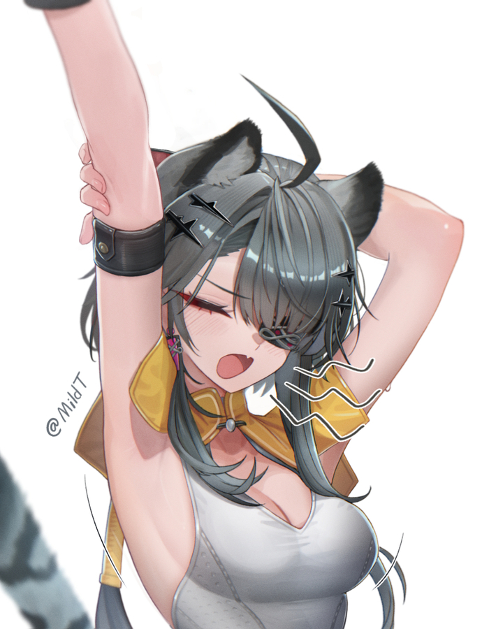 ���� ���������