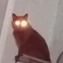 SaMari38