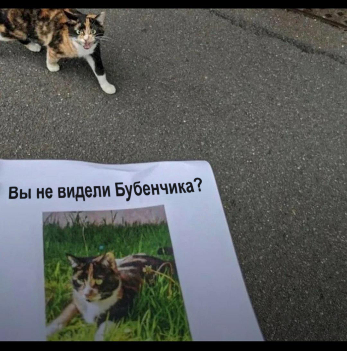 ����� ����� ������