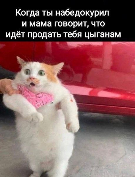 � ������ ���� ����� �����!