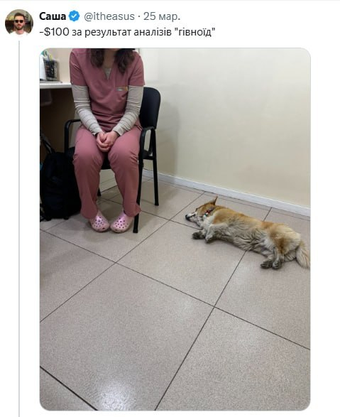 А с собакой-то что?