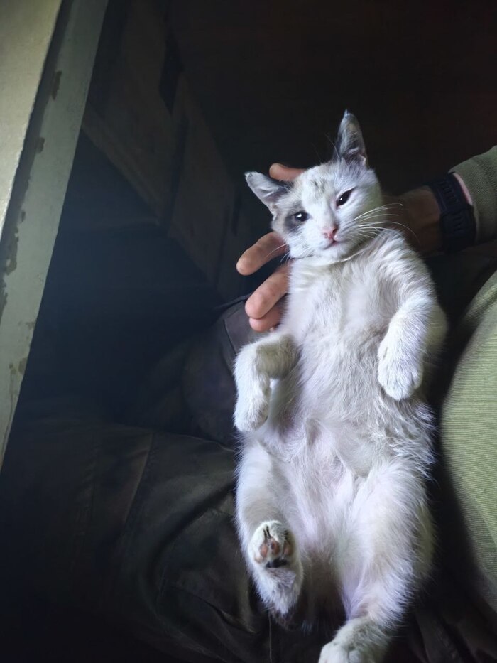 ������ ������. � ���� � ������� ��������. �� ��� ��� ������� ������ ������� � ���������� ����. ������ ����� � �����, �� �����. �������� ������ ����� ������� ������, �� ����� ������. ���. 