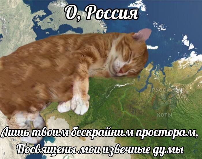 ��� ���� ����