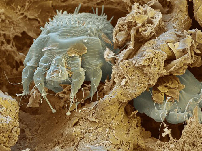 �� ������� ���� ��������� ����. ���������� ������