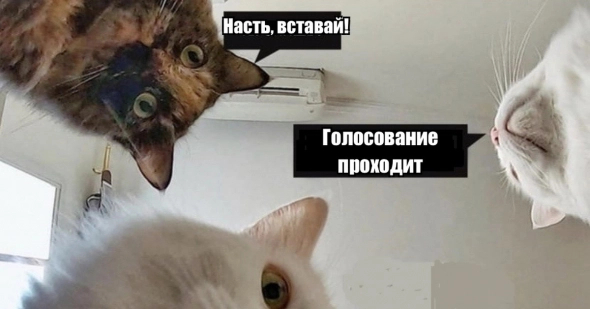 ������. ������. ��������. �������� ���� ������ ������?