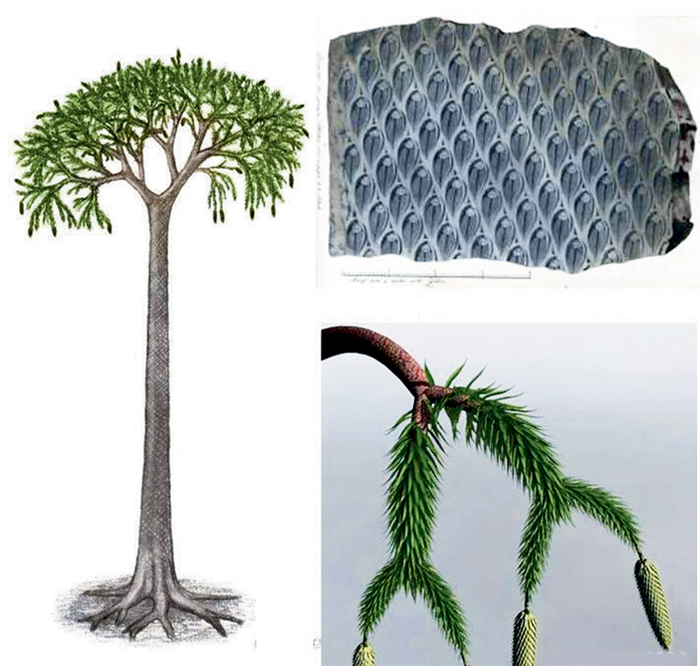 ������������� �� ������������� �������� )