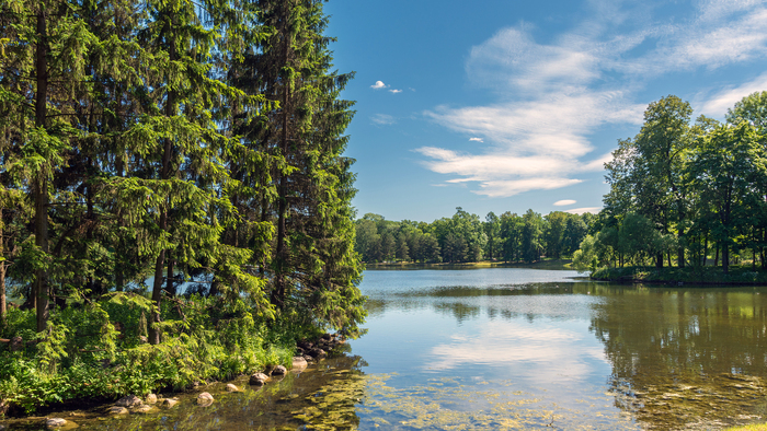 ������� �����