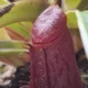 ������ ������������ user11677589