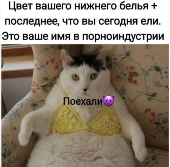��� ����� �������:
