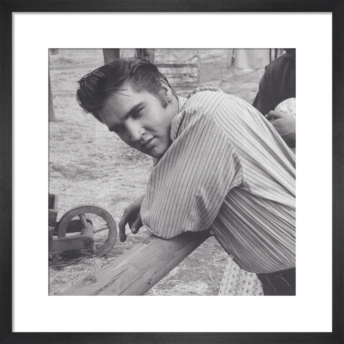 �����, 1956.