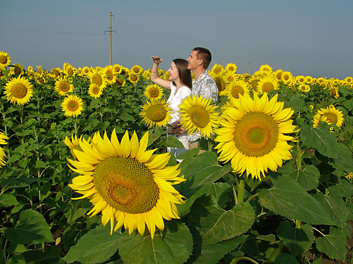 Романтика