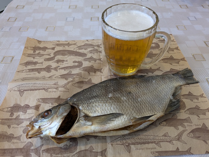 ���� ���������