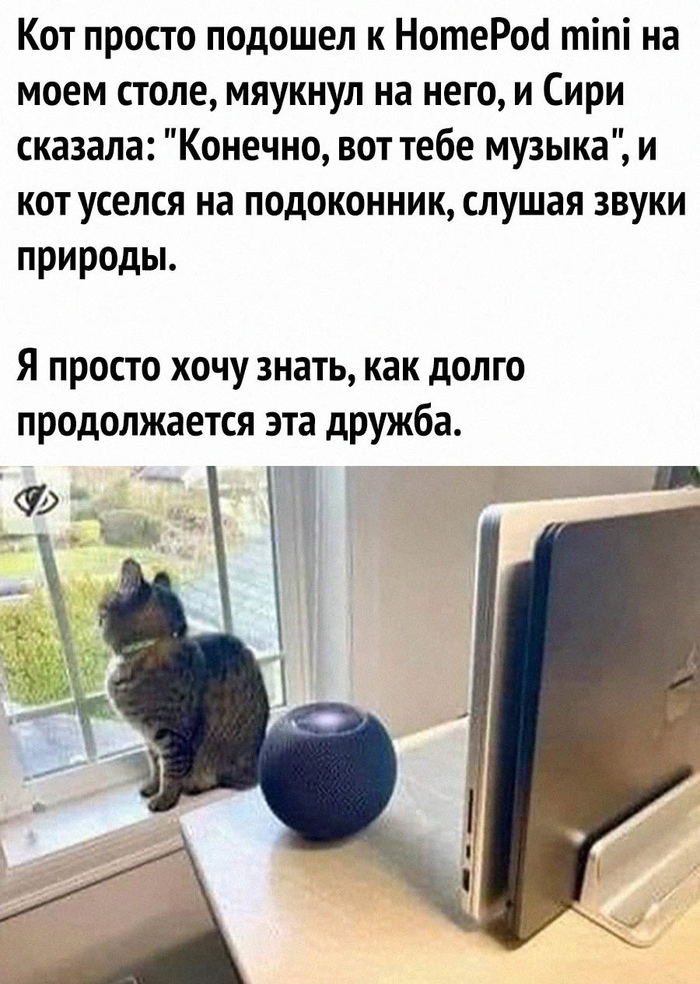 �� ��������!