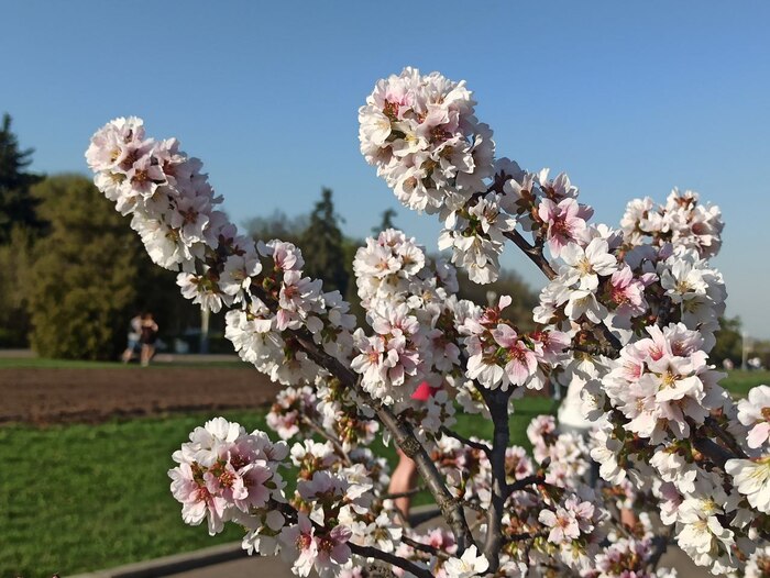 ���������� ������.