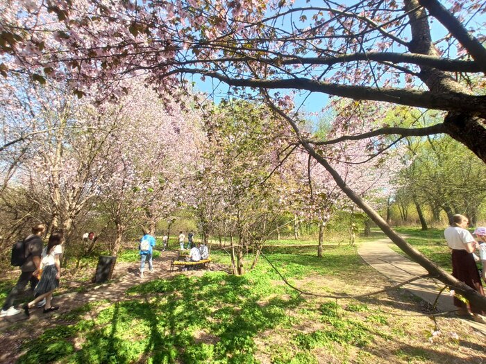 ���������� ������.