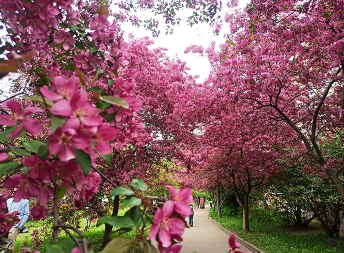 ���������� ������.