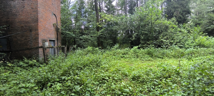 ��������� ��������.