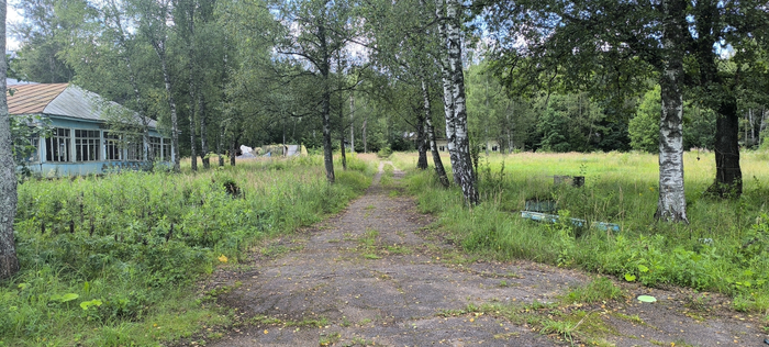 ������. ��� � ������� �����.