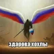 Аватар пользователя kronus353