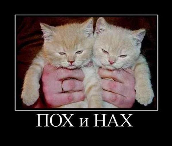 �� �������� � ������������ ���� �� ���� �����