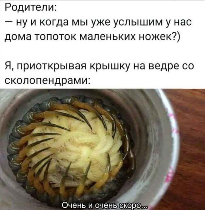 Согласны????
