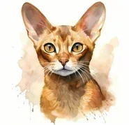 �� ��� ����� �� ���� - �������� ������� ������!