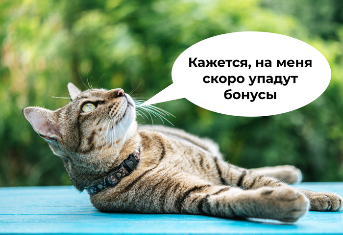 Авито и Сбер объединили усилия для поддержки креативных предпринимателей