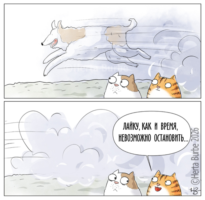�����