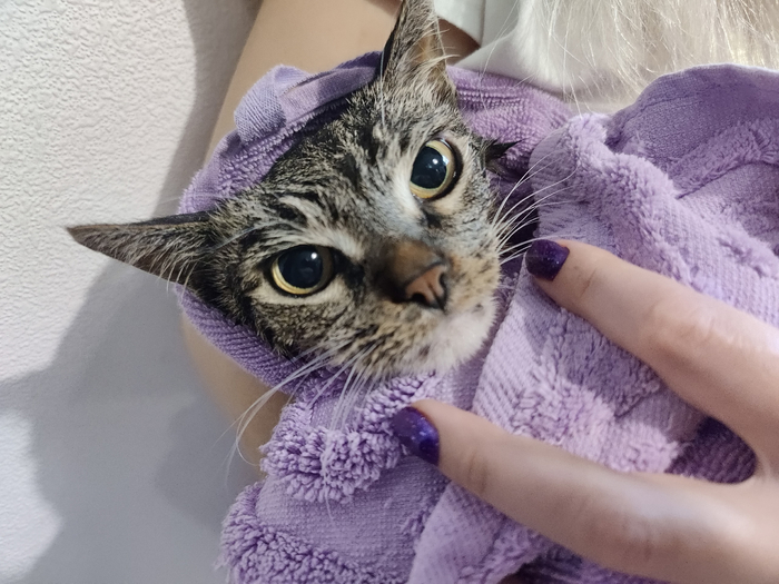 ����������� �����