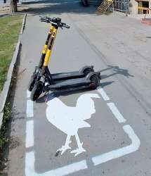 Пора узаконить