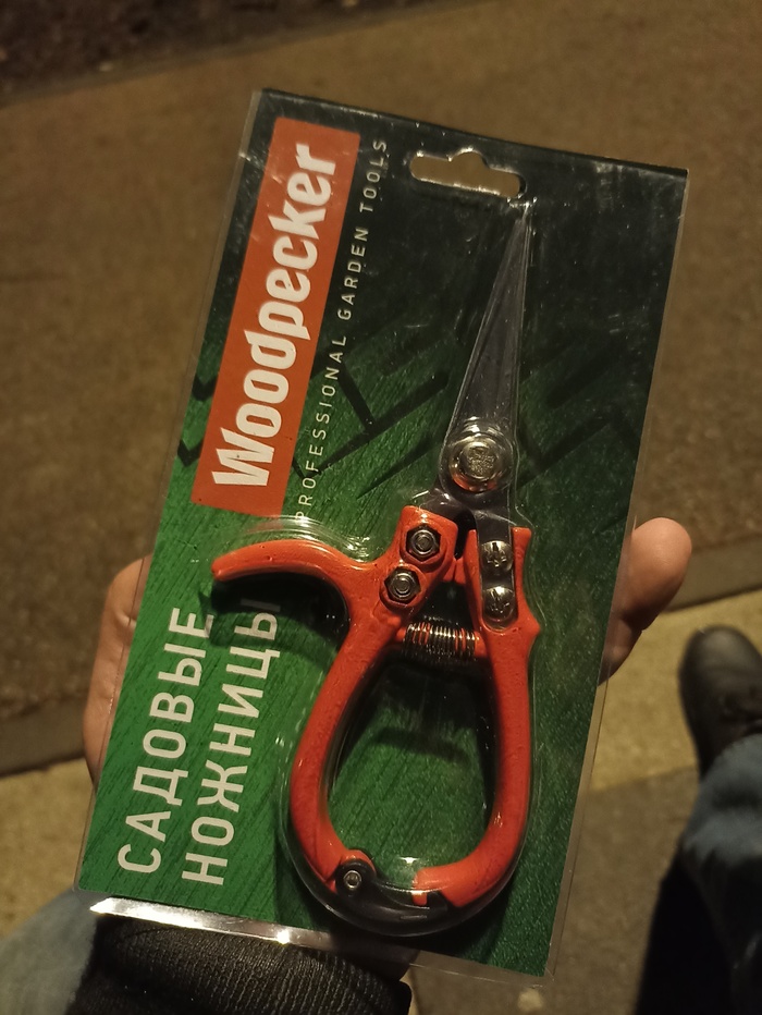 299 ������