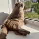 ������ ������������ user10484405