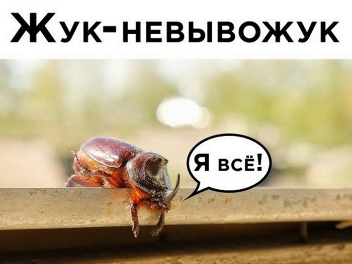 ���������� + ����� = �������������� ����