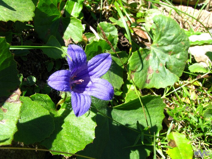 �������� ����������� ���������� �� ��������� ������ ������� ����� �������� �� �������