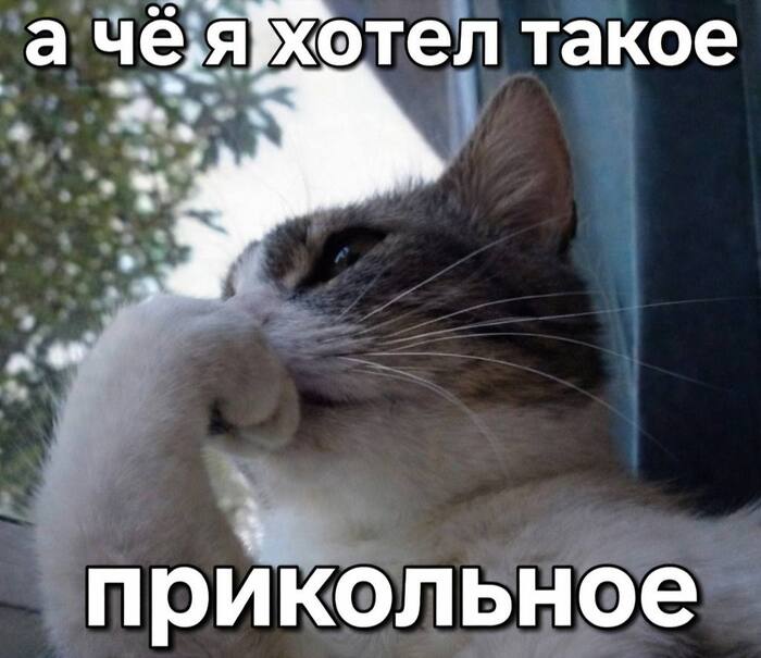 ����� �� ������ ���������, �� ����� ����� ���������