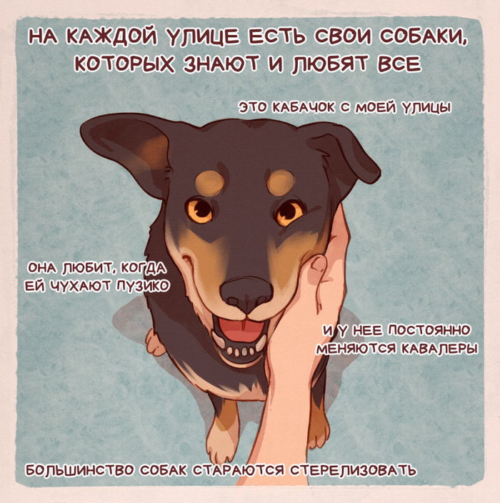 А с кавалерами наверное и новые дикие щенки, верно?