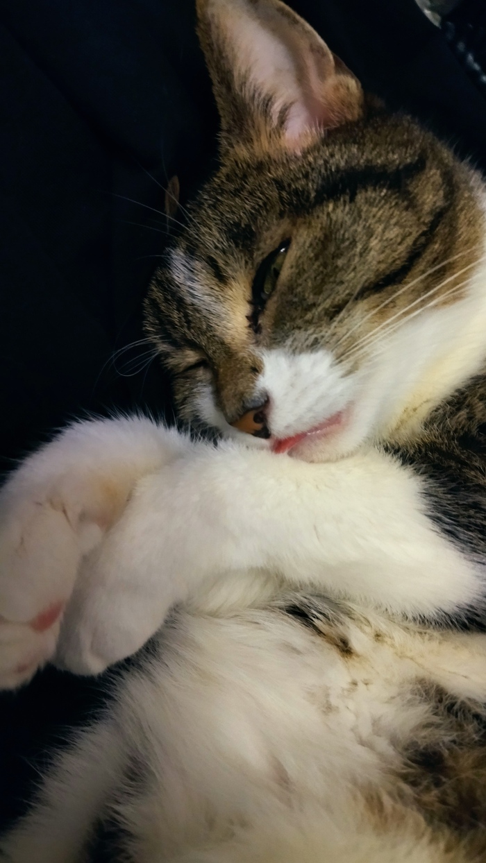 �� � �������