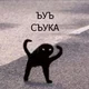 ������ ������������ user11563199