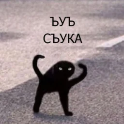 user11563199