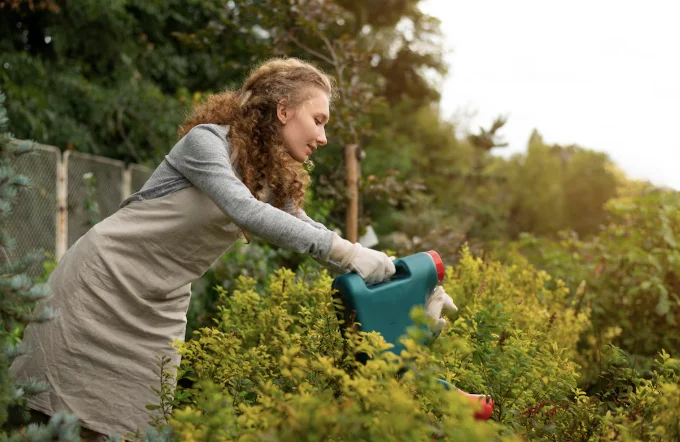 Top 10 Garden Tools: Opening the 2026 Season - Dacha, Garden tools, Garden, Gardening, Growing, Land plot, Plant growing, Longpost