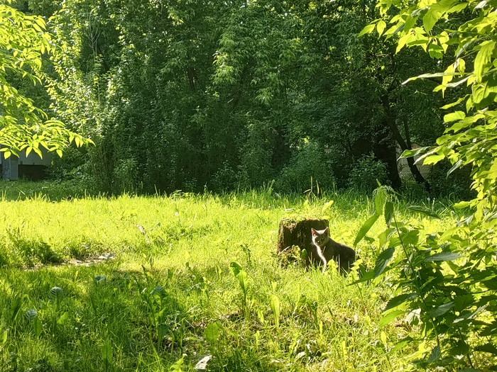 ������� ���� ��� � ����� :3