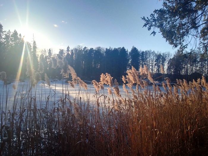 ����� �����. ����