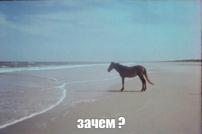 ����� � ����� ��������?