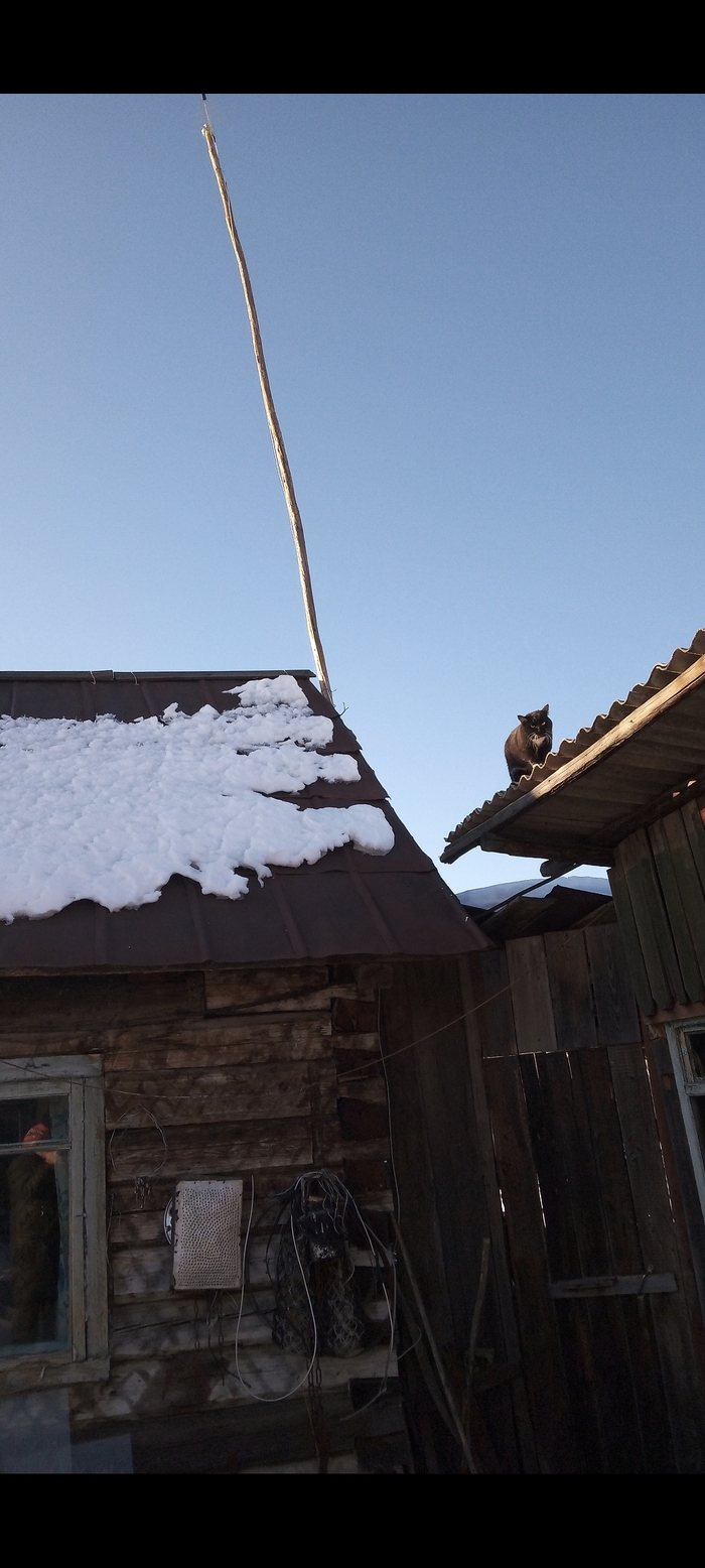 ������� 🙂