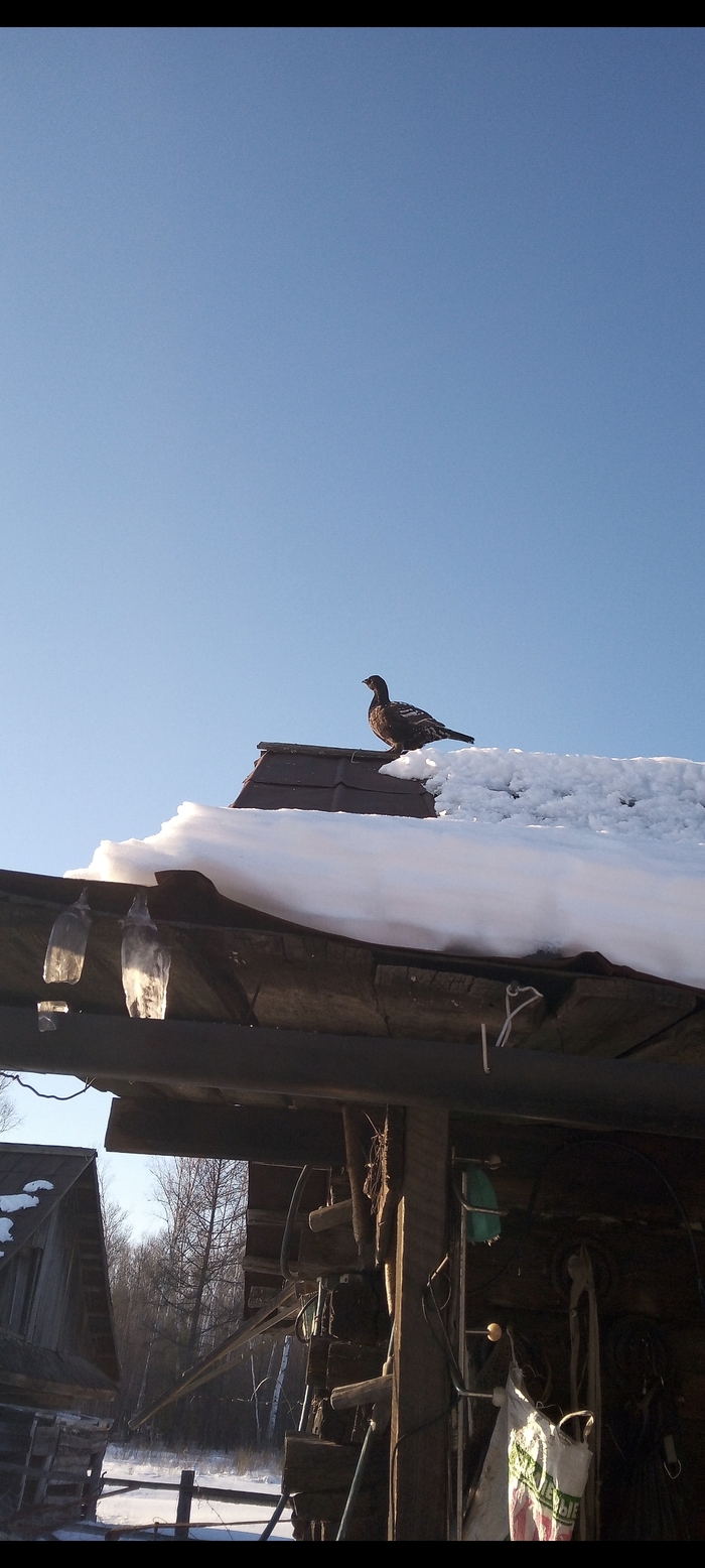 ������� ���������, ��������📸