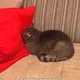 ������ ������������ user11229777